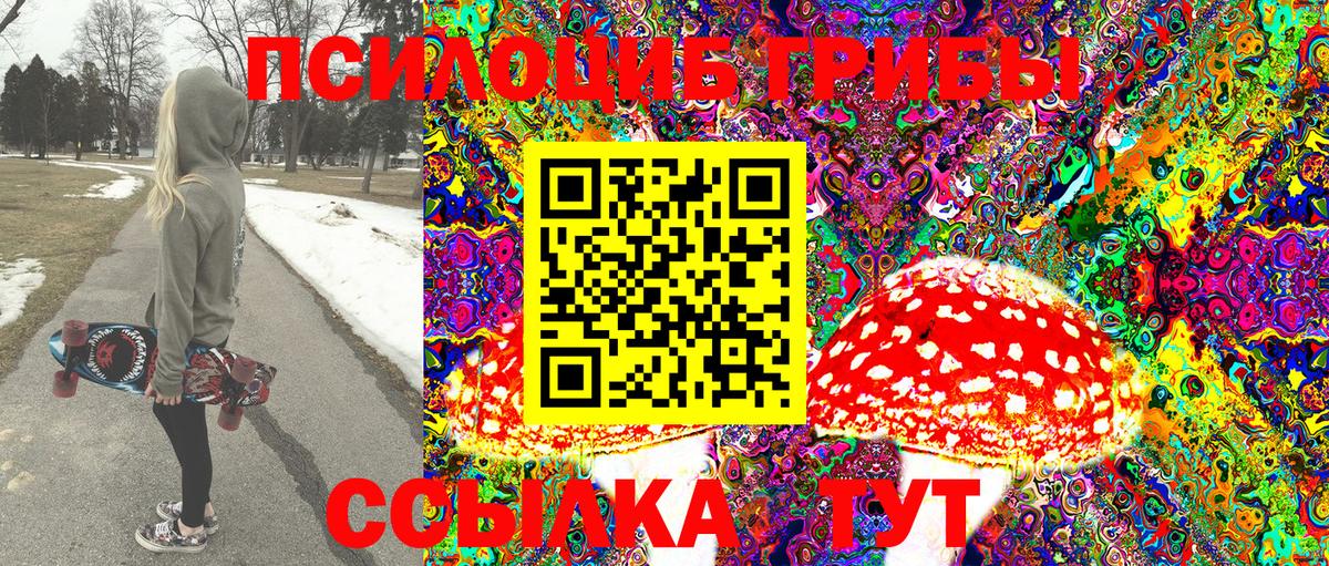 Воскресенск  Псилоцибиновые грибы MAGIC MUSHROOMS  Вход с VPN 